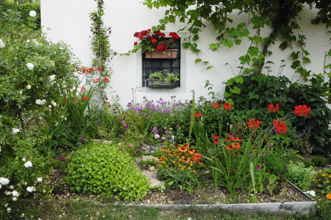 Il Sanco Bed & Breakfast Selva di Progno Dış mekan fotoğraf