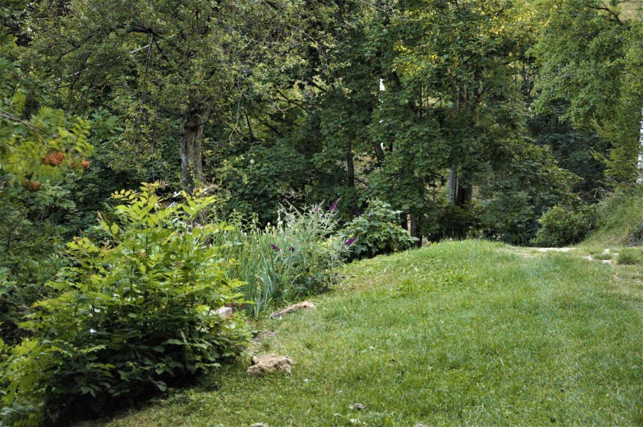 Il Sanco Bed & Breakfast Selva di Progno Dış mekan fotoğraf