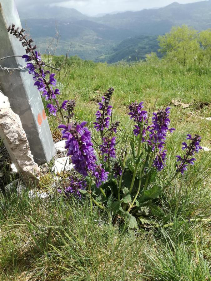 Il Sanco Bed & Breakfast Selva di Progno Dış mekan fotoğraf
